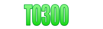 Logo TO300